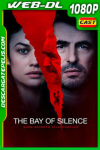 La Bahía Del Silencio (2020) 1080p WEB-DL AMZN