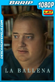 La ballena (2022) 1080p BRRip Latino