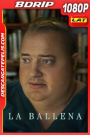La ballena (2022) 1080p BDrip Latino