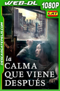 La calma que viene después (2020) 1080p WEB-DL Latino Ligero
