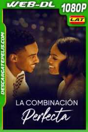 La combinación perfecta (2023) 1080p WEB-DL Latino