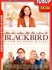 La decisión (2019) 1080p BDRip