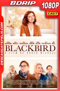 La decisión (2019) 1080p BDRip