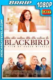 La decisión (2019) 1080p BRRip