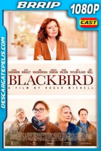 La decisión (2019) 1080p BRRip