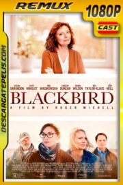 La decisión (2019) 1080p Remux