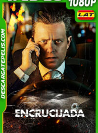 La Encrucijada (2020) 1080p WEB-DL Latino