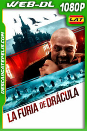 La Furia de Drácula (2023) 1080p WEB.DL Latino