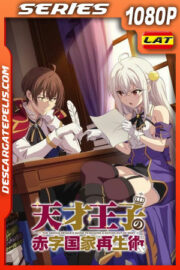 La guía del príncipe genio para sacar a una nación de sus deudas Temporada 1 (2021) 1080p WEB-DL Latino