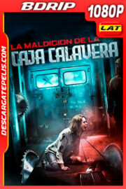 La maldición de la caja calavera (2017) 1080p BDRip Latino