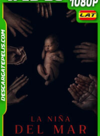 La Niña del Mar (2023) 1080p WEB-DL Latino