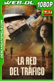 La red del tráfico (2021) 1080p WEB-DL Latino