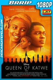 La reina de Katwe (2016) 1080p BRrip Latino