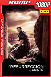 La resurrección de Cristo (2016) 1080p BDrip Latino
