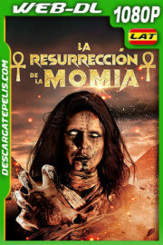 La Resurrección de la Momia (2022) 1080p WEB-DL Latino