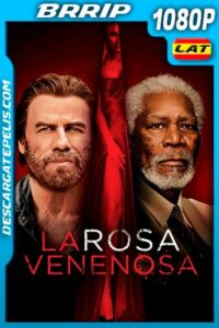 La rosa venenosa (2019) 1080p BRRip Latino