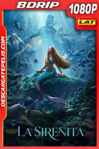La sirenita (2023) 1080p BDRip Latino