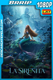 La sirenita (2023) 1080p BRRip Latino
