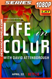 La vida a color con David Attenborough (2021) Temporada 1 1080p WEB-DL Latino