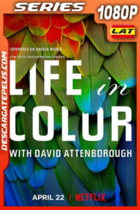 La vida a color con David Attenborough (2021) Temporada 1 1080p WEB-DL Latino