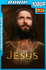 La vida pública de Jesús (1979) 1080p BRRip Latino