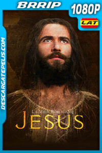 La vida pública de Jesús (1979) 1080p BRRip Latino