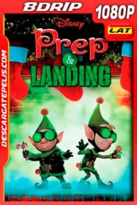 Lanny y Wayne: Los elfos navideños: Escuadron de Navidad (2009) 1080p BDRip Latino