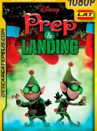 Lanny y Wayne: Los elfos navideños: Escuadron de Navidad (2009) 1080p Remux Latino