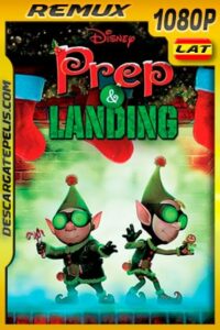 Lanny y Wayne: Los elfos navideños: Escuadron de Navidad (2009) 1080p Remux Latino