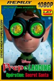 Lanny y Wayne: Los elfos navideños: Operacion Santa (2010) 1080p Remux Latino