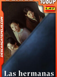 Las hermanas Temporada 1 (2022) 1080p WEB-DL Latino