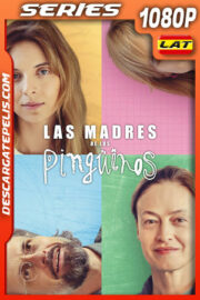Las madres de los Pingüinos Temporada 1 (2024) 1080p WEB-DL Latino