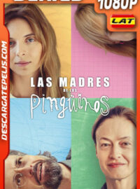Las madres de los Pingüinos Temporada 1 (2024) 1080p WEB-DL Latino