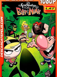 Las sombrías aventuras de Billy y Mandy (2001) Temporada 1 1080p WEB-DL Latino