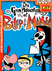 Las sombrías aventuras de Billy y Mandy (2004) Temporada 3 1080p WEB-DL Latino