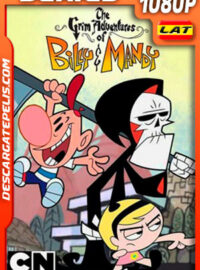 Las sombrías aventuras de Billy y Mandy (2005) Temporada 4 1080p WEB-DL Latino