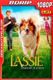 Lassie Vuelve a Casa (2020) 1080p BDRip Latino