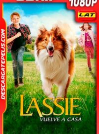 Lassie Vuelve a Casa (2020) 1080p BDRip Latino