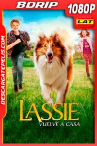 Lassie Vuelve a Casa (2020) 1080p BDRip Latino