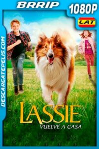 Lassie Vuelve a Casa (2020) 1080p BRRip Latino