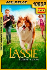 Lassie Vuelve a Casa (2020) 1080p Remux Latino