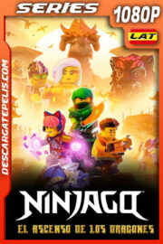 Lego Ninjago: El ascenso de los dragones Temporada 1 (2023) 1080p WEB-DL Latino
