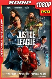 Liga de la Justicia (2017) 1080p BDrip Latino
