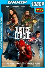 Liga de la Justicia (2017) 1080p BRrip Latino