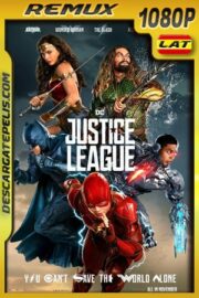 Liga de la Justicia (2017) 1080p Remux Latino