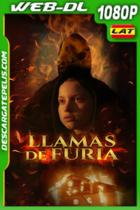 Llamas de Furia (2021) 1080p WEB-DL Latino