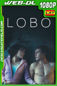 Lobo (2021) 1080p WEB-DL Latino