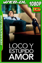 Loco y estúpido amor (2011) 1080p WEB-DL Latino