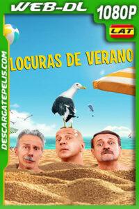 Locuras de verano (2020) 1080p WEB-DL Latino