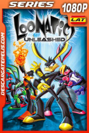 Loonatics Unleashed Temporada 1 (2005) 1080p WEB-DL Latino